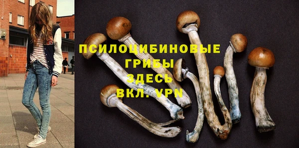 мескалин Белокуриха