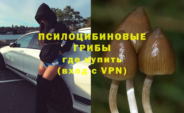 apvp Беломорск